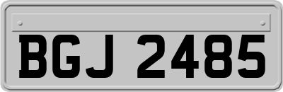 BGJ2485