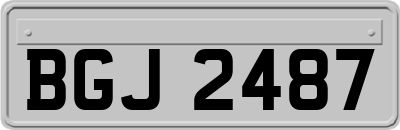 BGJ2487