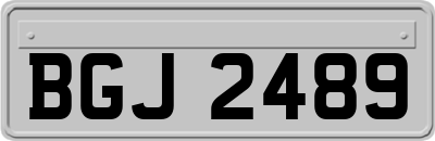 BGJ2489