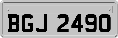 BGJ2490