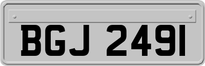 BGJ2491