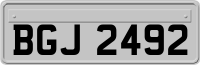 BGJ2492