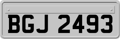 BGJ2493