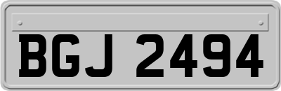 BGJ2494