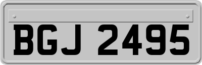 BGJ2495
