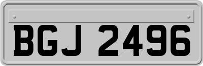 BGJ2496
