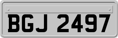 BGJ2497