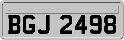 BGJ2498