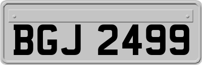 BGJ2499