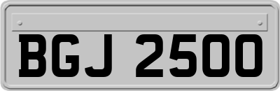 BGJ2500
