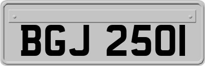 BGJ2501