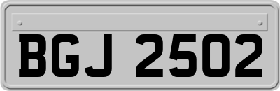 BGJ2502