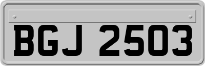 BGJ2503