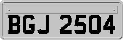 BGJ2504