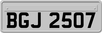 BGJ2507