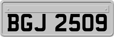 BGJ2509