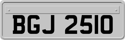 BGJ2510