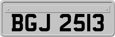 BGJ2513