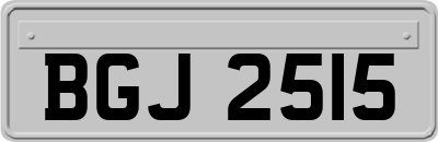 BGJ2515