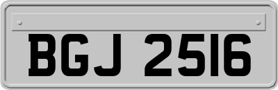 BGJ2516