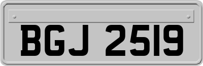 BGJ2519