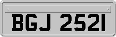BGJ2521