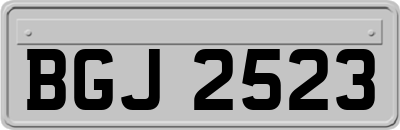 BGJ2523