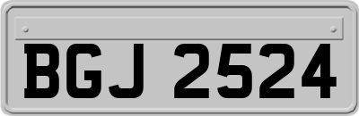BGJ2524