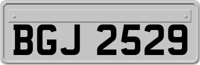 BGJ2529