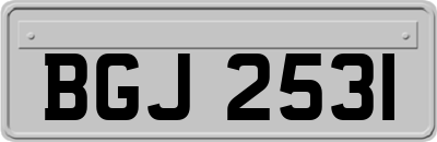 BGJ2531
