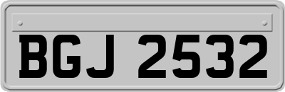 BGJ2532