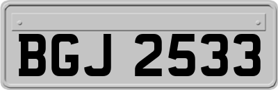 BGJ2533