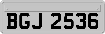 BGJ2536