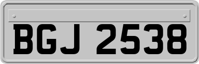 BGJ2538