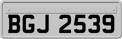 BGJ2539