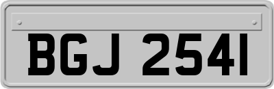 BGJ2541