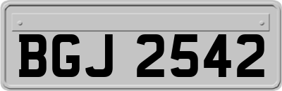 BGJ2542