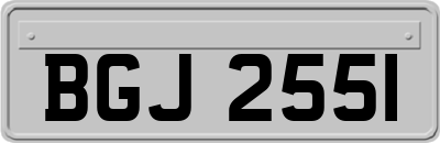 BGJ2551