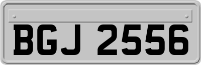 BGJ2556