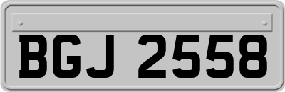 BGJ2558