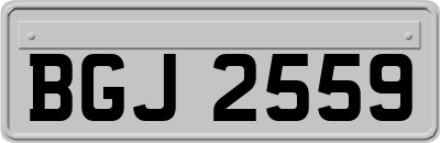 BGJ2559