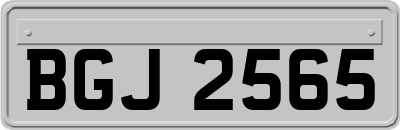 BGJ2565