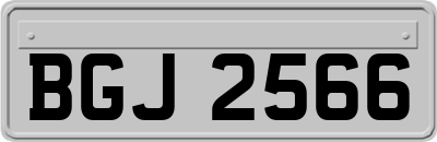 BGJ2566