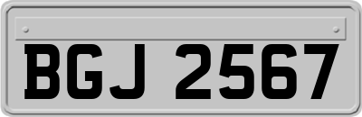 BGJ2567