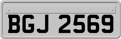 BGJ2569
