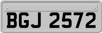 BGJ2572