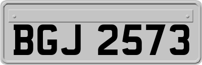 BGJ2573