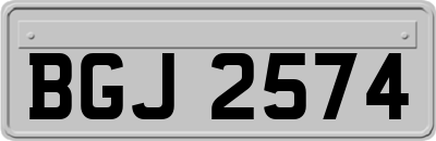 BGJ2574