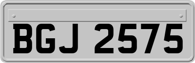 BGJ2575