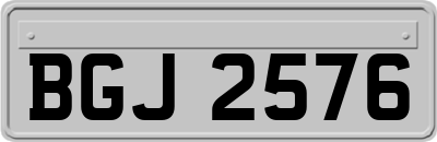 BGJ2576